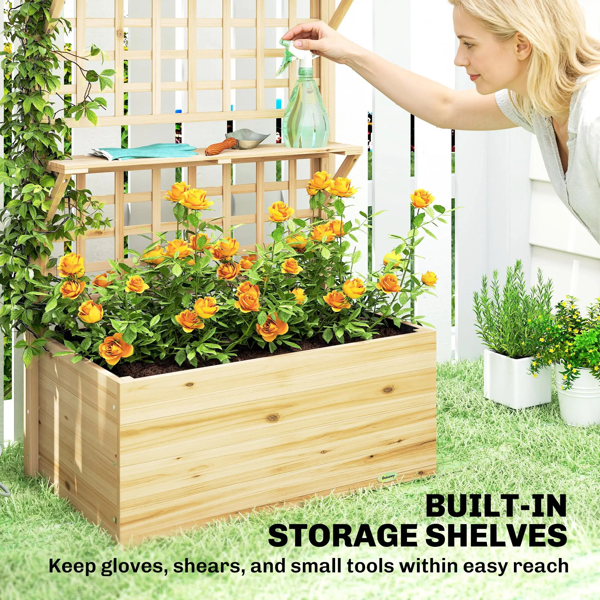 植物架、花架（周末不发货-3