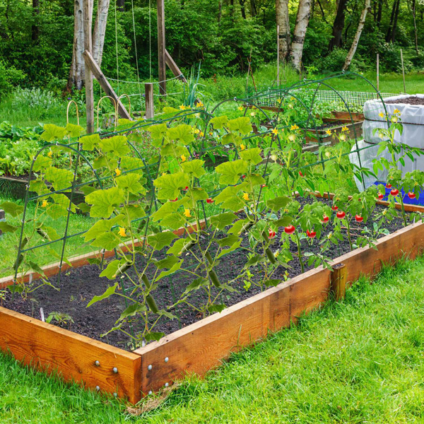 （自提可发加拿大，temu&tk下自提单）U形花园拱形藤架，适用于攀爬植物，尺寸49.6x47.2英寸（可调节宽度15.7-45.2英寸），防锈铁制黄瓜藤架配网罩及全套安装工具，轻松组装适用于高架花坛-4