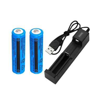 2块3000mAh 18650可充电电池+1个USB充电器套装用于手电筒头灯