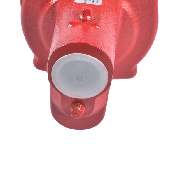 喷射泵 Cast Iron Shallow Well Jet Pump RJS-100-PREM, 1 HP 23 GPM 65 PSI 115/230 V-10