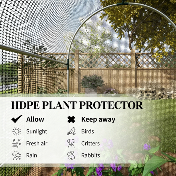 作物笼、花园植物保护器-9