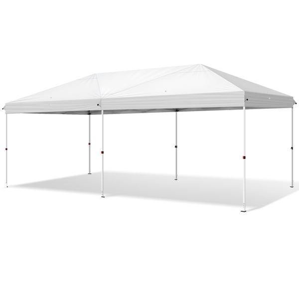 10*20ft  白色  一键撑开6片纱网-2门4纱网 28/22MM脚管 10X20MM交叉杆 折叠棚  210D牛津布  喷塑铁管 配拎包 无沙袋-7