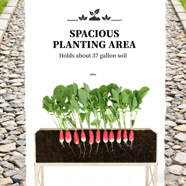 高架花园床/木制花盆 /木材种植箱-5