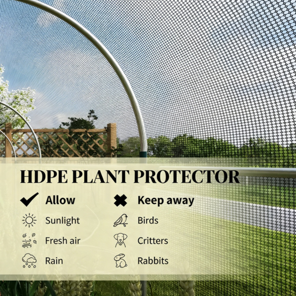 作物笼、花园植物保护器-8