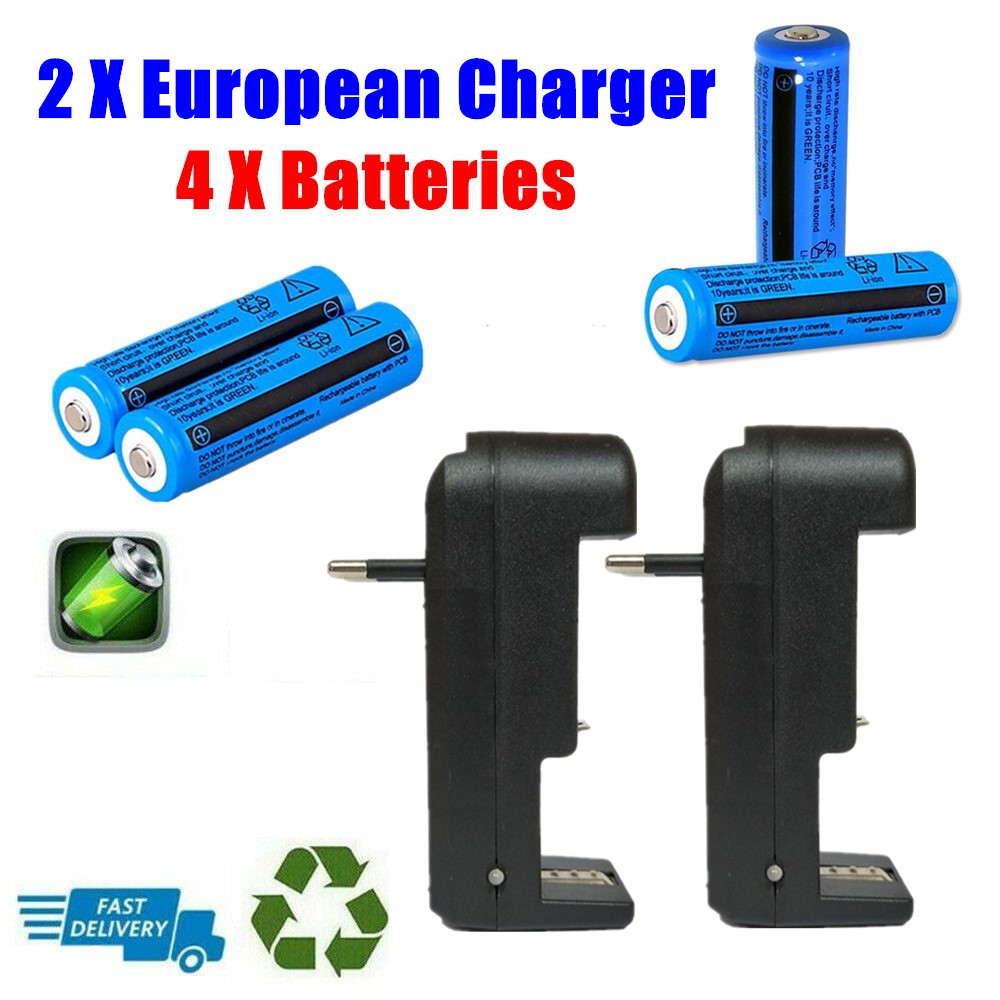 4 piles rechargeables 18650 avec double chargeur pour lampes_voghion.com