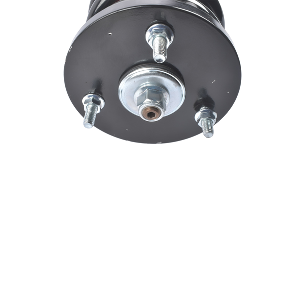 改装减震器 Rear Coilovers Suspension Damper Kit w/o Electric Fit for Mercedes-Benz S-Class W220 S430 S500 2000-2006-11