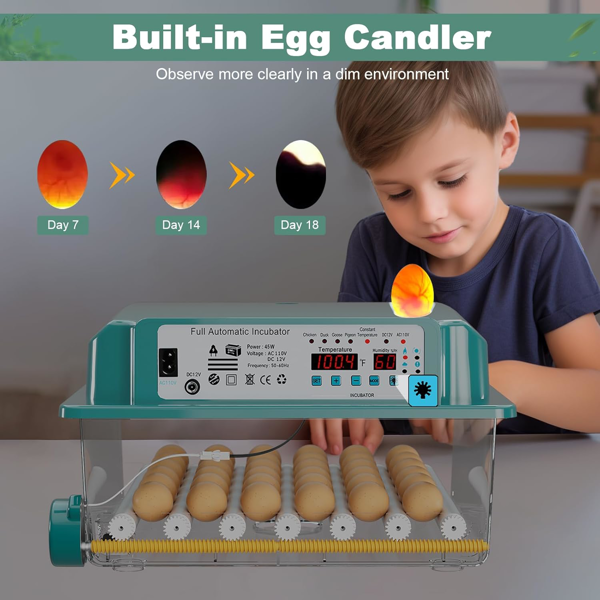 36个孵蛋器用于孵化，带4个自动孵化模式的蛋孵化器，带自动翻蛋湿度监测的鸡孵化器，带蛋蜡烛的家禽蛋孵化器-7