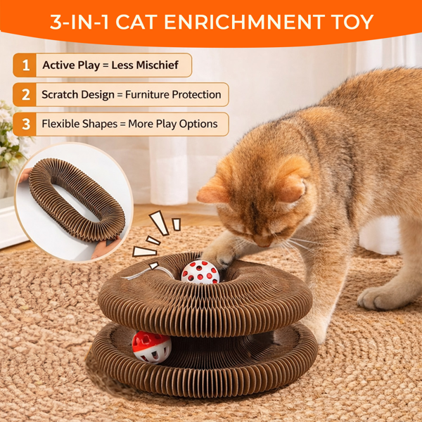 2pcs Kitty Curls 猫咪玩具 - 可折叠手风琴式猫抓板（带球）- 神奇风琴式猫抓板，适合互动玩耍 - 具有舒缓功能-6