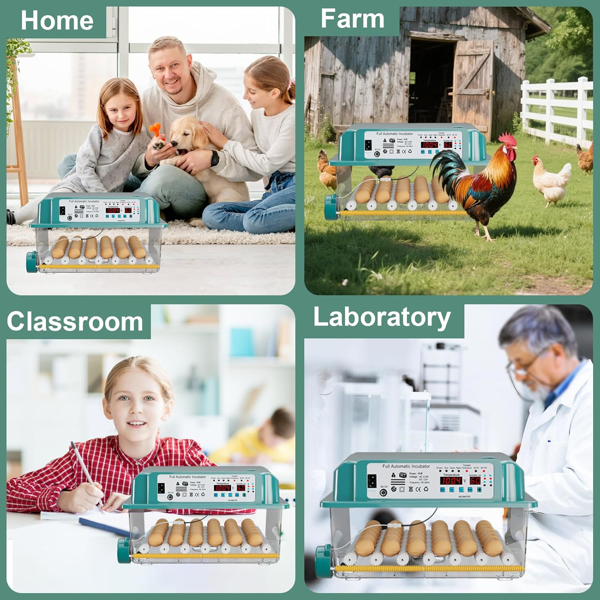 36个孵蛋器用于孵化，带4个自动孵化模式的蛋孵化器，带自动翻蛋湿度监测的鸡孵化器，带蛋蜡烛的家禽蛋孵化器-10