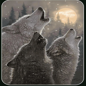 柔软蓬松法兰绒丝滑触感盖毯 50×60 英寸 狼啸图案款