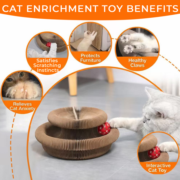 2pcs Kitty Curls 猫咪玩具 - 可折叠手风琴式猫抓板（带球）- 神奇风琴式猫抓板，适合互动玩耍 - 具有舒缓功能-7