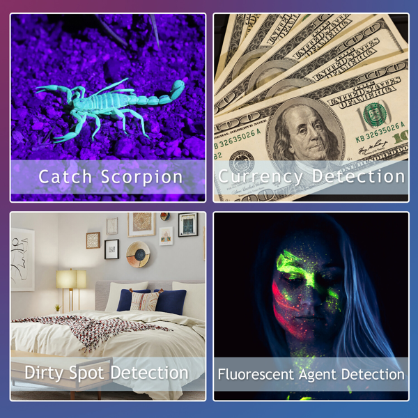 （2套）2合1 双光LED手电筒紫光+白光可变焦LED手电筒检测灯-8