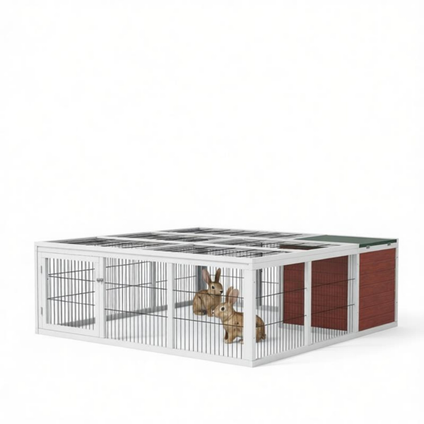 兔笼-2