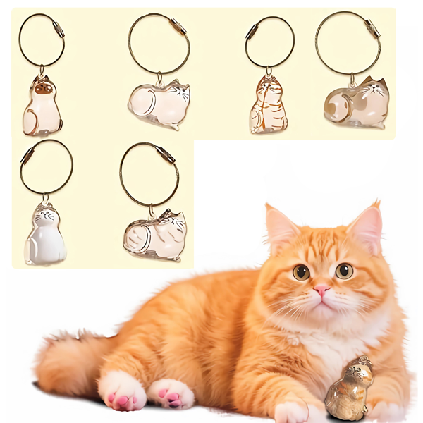 6件装猫毛纪念吊坠套装——宠物纪念品：柔软毛发胶囊吊坠、便携钥匙扣-9