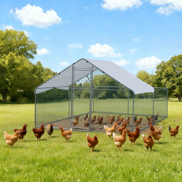 3*2*2/9.8*6.5*6.5ft 银色 尖顶顶部半开间 拼接 180gPE雨布 镀锌管 铁鸡兔笼-3