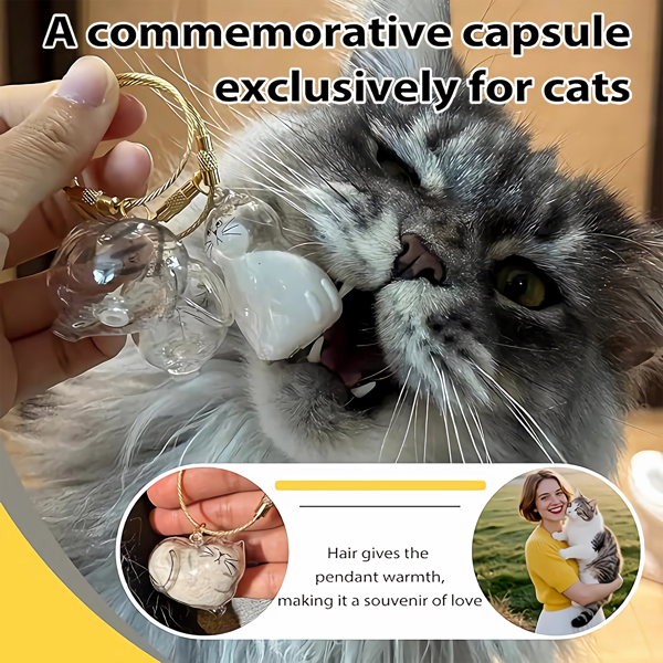 6件装猫毛纪念吊坠套装——宠物纪念品：柔软毛发胶囊吊坠、便携钥匙扣-7