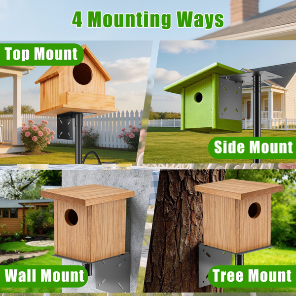 （自提可发加拿大，temu&tk下自提单）带松鼠防护装置的喂鸟架，五爪底座重型喂鸟架，32“-94” 可调节高度喂鸟站，配有4个牧羊钩，适用于户外花园庭院-5