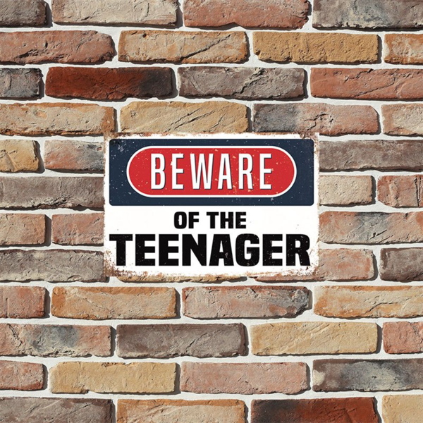 CIFbuy 复古金属锡牌小心青少年警示墙饰乡村风格装饰男人洞穴酒吧卧室酒馆适用节日装饰（TikTok、temu 下自提）-4