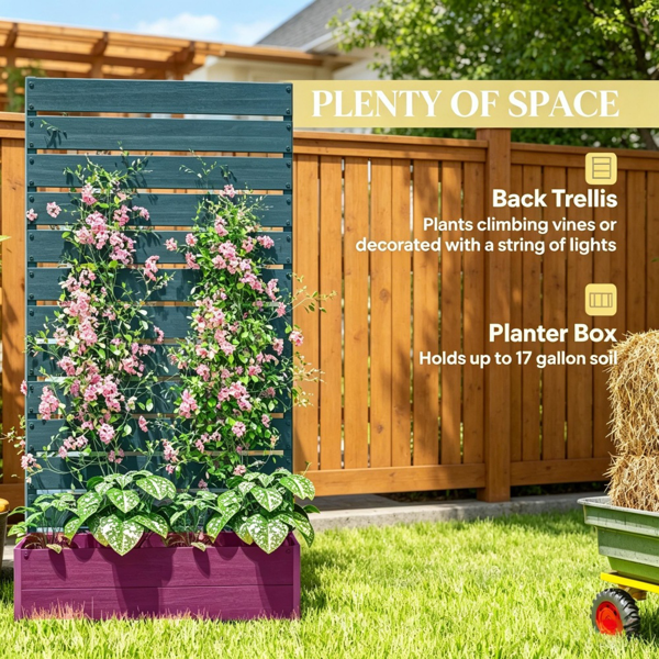 花园床（没有盆栽）-5