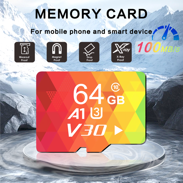 监控级高速SD卡，读写稳定，专用于全天候安全监控-1