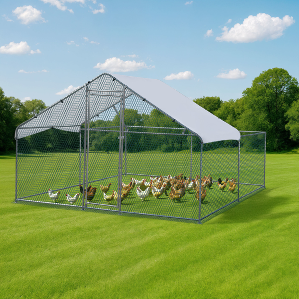 3*2*2/9.8*6.5*6.5ft 银色 尖顶顶部半开间 拼接 180gPE雨布 镀锌管 铁鸡兔笼-24