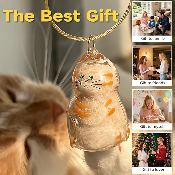 6件装猫毛纪念吊坠套装——宠物纪念品：柔软毛发胶囊吊坠、便携钥匙扣-8