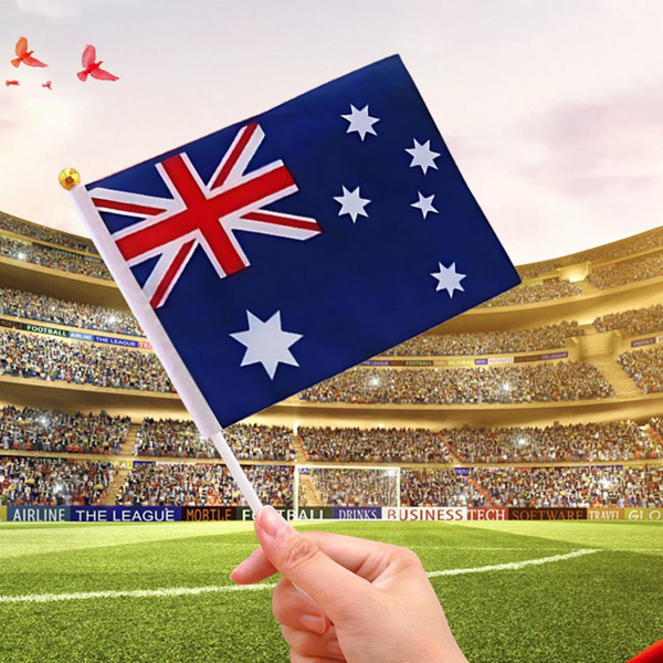 8x 澳大利亚国旗挥动带塑料杆 21x14 厘米 8.5x5.5 英寸 旗帜 (各平台政策不同，链接已附相关资质，如无所需资质请勿上架)-6