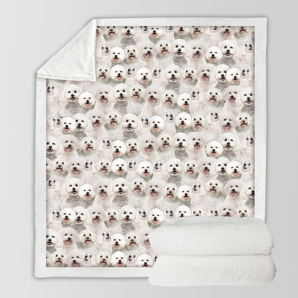 自产毛毯 密集比熊 130x150cm（temu仅可自提）-9