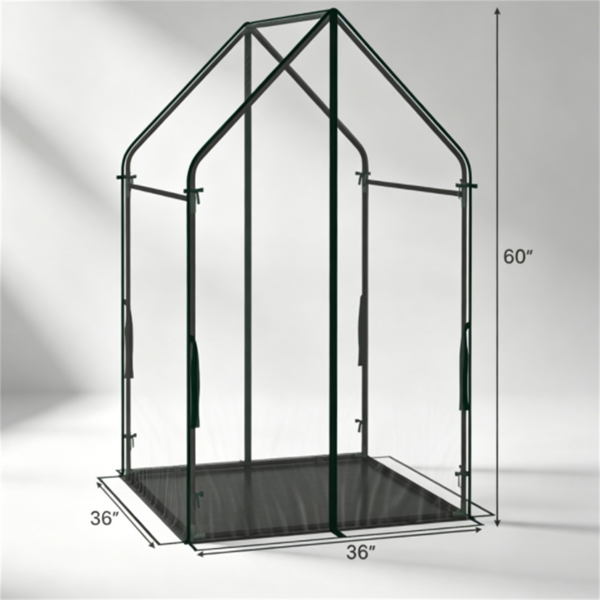 36“×36”×60“便携式迷你温室，带PE脚垫，36×60英寸透明PVC植物生长帐篷，带木桩和绳索的抗风金属框架室外温室-5