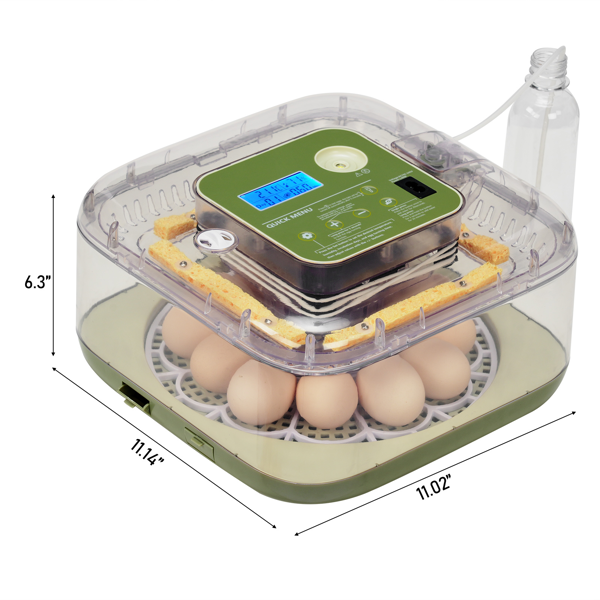 FYY-12 美规 孵化器 110V ≤35W 方与圆12枚 带1个水瓶 ABS+PET 草绿加透明上盖 LED照蛋功能升级 全自动翻蛋 华氏度温湿度液晶显示 天数显示 自动控温控湿-2