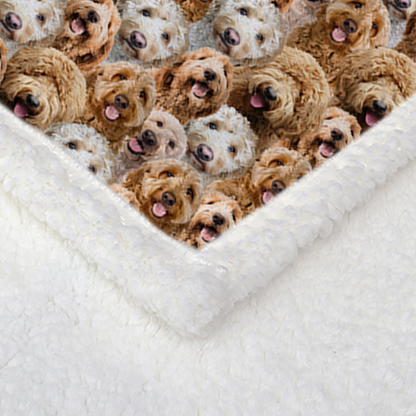 自产毛毯 密集可卡布犬 150x200cm-2