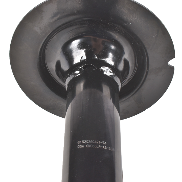 减震器 Set of 2 Front Left Driver Side and Right Passenger Side Shock Absorber Fits for Pontiac G8 Sedan 3.6L V6 6.0L 6.2L V8 2008-2009-10
