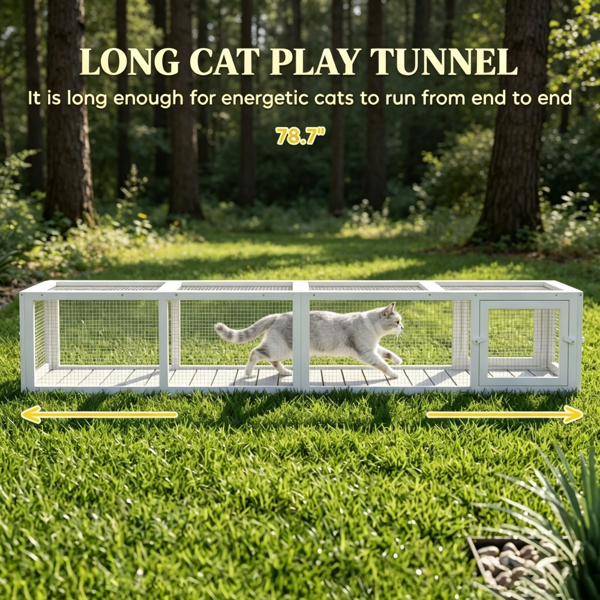 猫隧道-4
