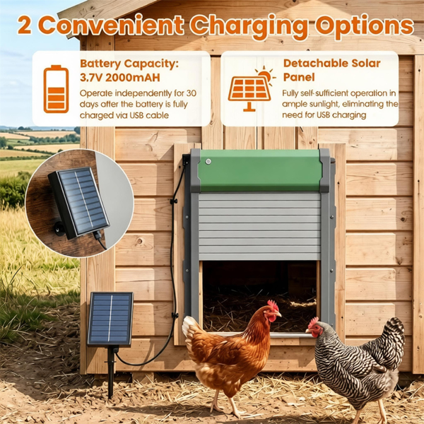 太阳能自动鸡舍门，带4种模式光传感器定时器远程控制，鸡鸭兔家禽防夹耐候铝制开门器-8