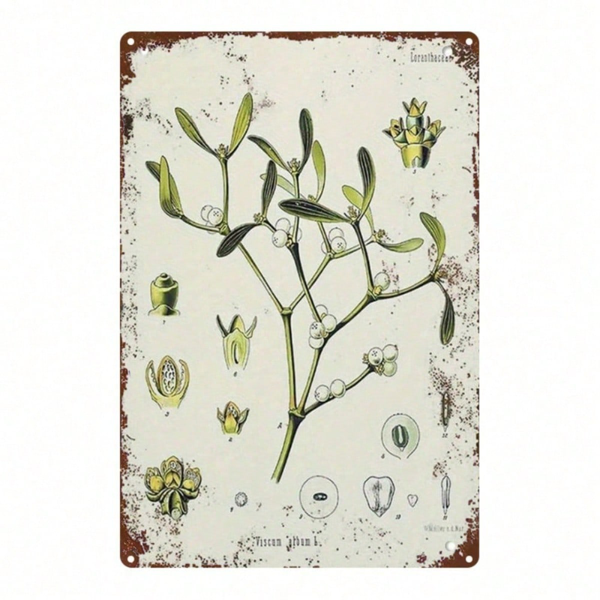 CIFbuy 槲寄生植物 复古金属铁皮招牌 2D 平面 1个 8x12英寸 经典插画 乡村复古艺术墙饰 室内外适用 （TikTok, temu 自提物流）-1