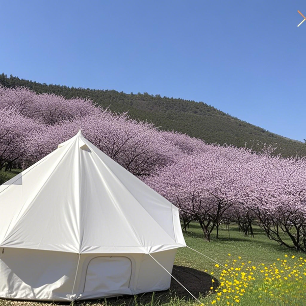 5 米金字塔棉布露营帐，防水轻奢款，家庭野餐聚会适用-7