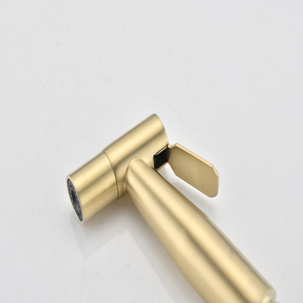 坐便器喷枪，手持式喷雾器-11