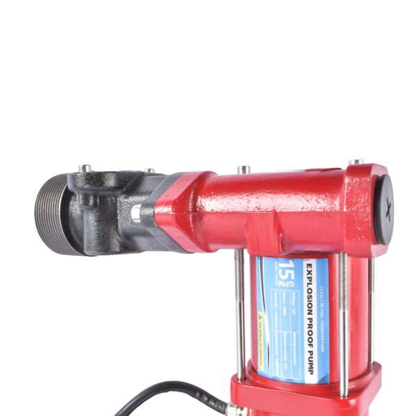 抽油泵 15GPM High Flow 12V Red Fuel Transfer Pump w/ Filters ＆ Hose Fit for Gasoline Diesel-14