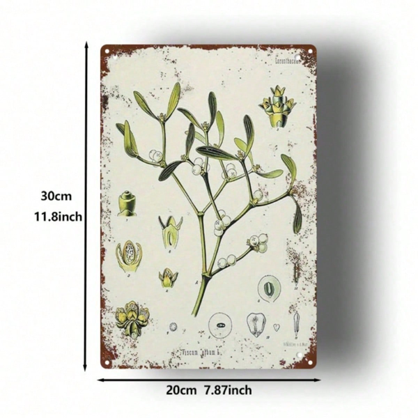 CIFbuy 槲寄生植物 复古金属铁皮招牌 2D 平面 1个 8x12英寸 经典插画 乡村复古艺术墙饰 室内外适用 （TikTok, temu 自提物流）-2