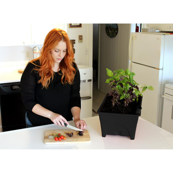 自带储水自浇灌种植花坛，庭院、室内均可使用-4
