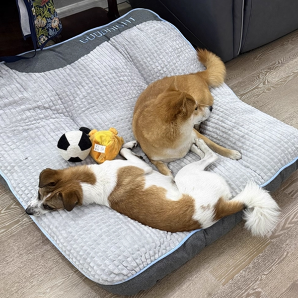 大型犬宠物沙发/狗床/狗垫子/狗窝/宠物冬季保暖睡垫（可拆洗）+1根狗磨牙绳结-80x64x18cm-14