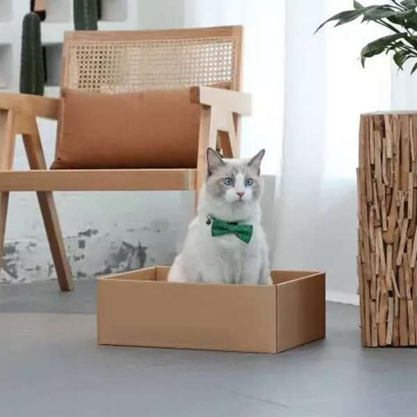 猫抓板-8