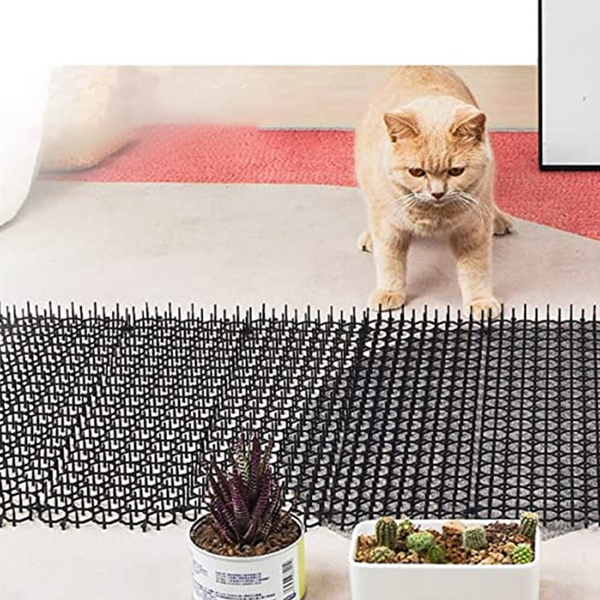 6个装 防猫刺条13*49CM-9