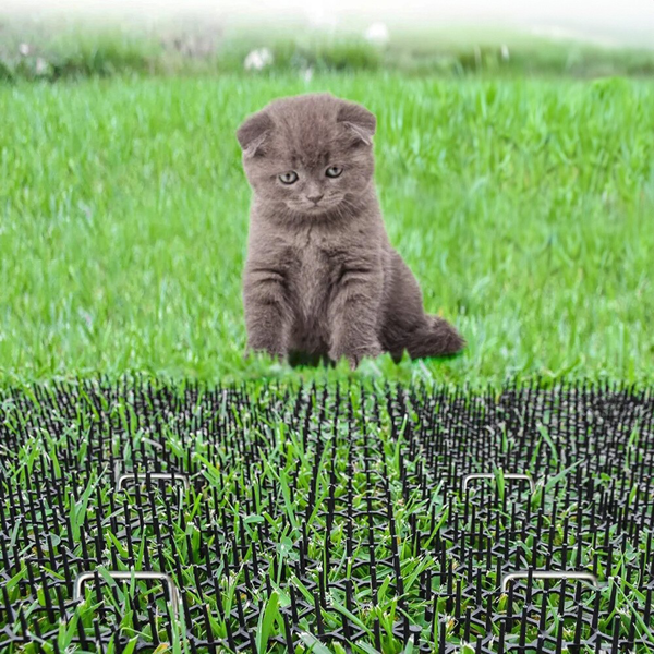 6个装 防猫刺条13*49CM-7