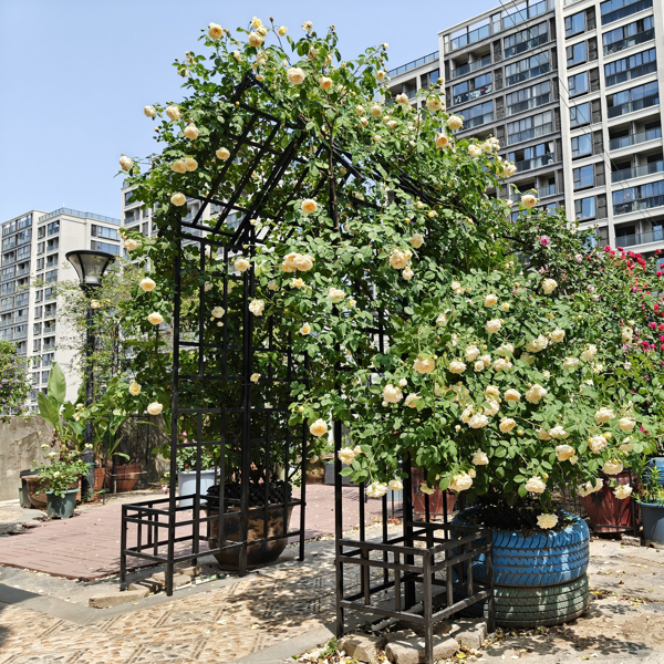 Metal Garden Arch with Adjustable Width W68.11''~W94.29''  Climbing Plants Support Rose Arch Outdoor Black-11