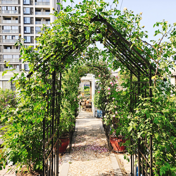 Metal Garden Arch with Gate W58.07*H97.24 Climbing Plants Support Rose Arch Outdoor Black-4