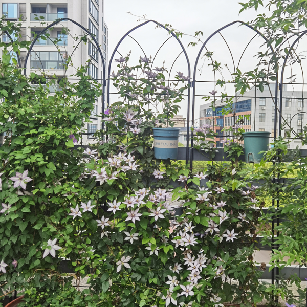 4 Pack Metal Garden Trellis 78.7" x 19.7" Rustproof Trellis for Climbing Plants Outdoor Flower Support Black-4