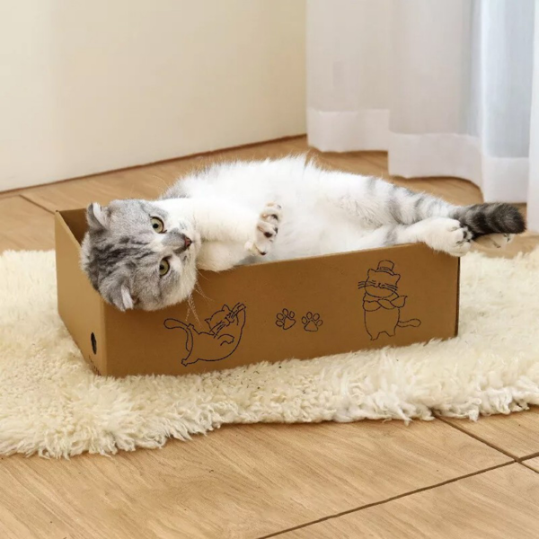 猫抓板-3