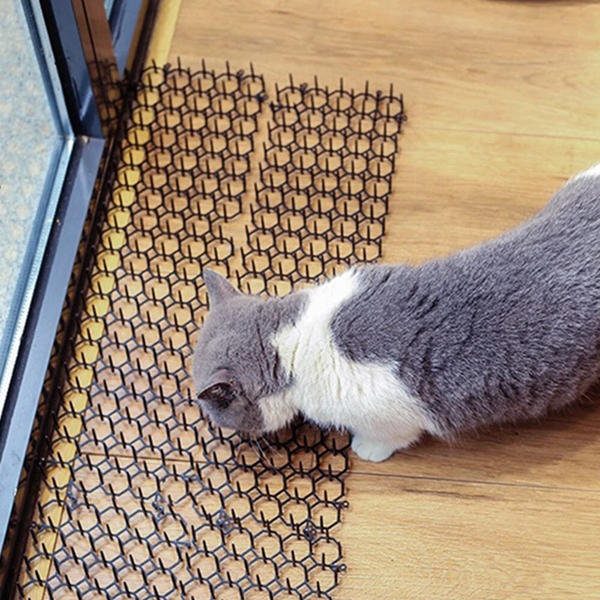 6个装 防猫刺条13*49CM-8