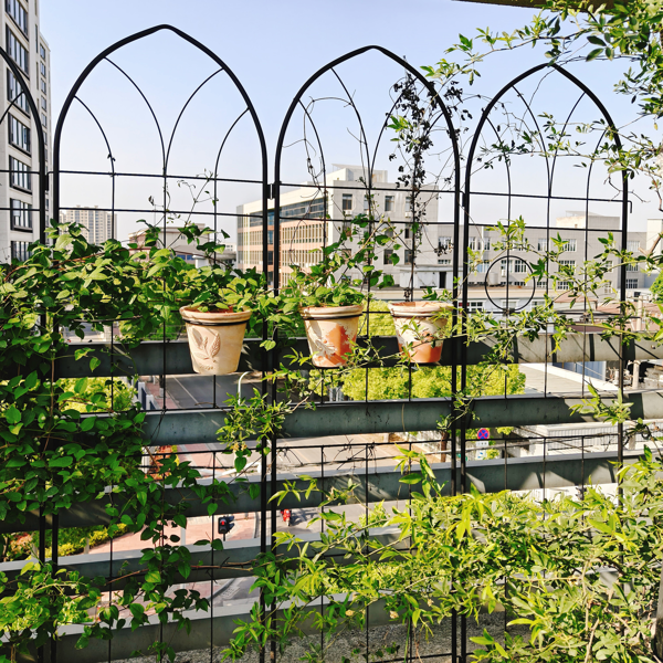 2 Pack Metal Garden Trellis 78.7" x 19.7" Rustproof Trellis for Climbing Plants Outdoor Flower Support Black-4